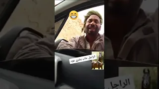 حمد البدي و العود