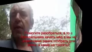 Вопросы к профессионалам! Как правильно откачать мёд?