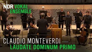 Claudio Monteverdi: Laudate Dominum primo  | Klaas Stok | NDR Vokalensemble