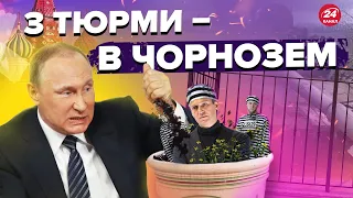 🤣П'яна істерика путіна та Навальний знайшов вихід на волю