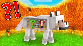 LAVA TSUNAMI vs. Mikey and JJ Doomsday Bunker in DOG - Minecraft Maizen