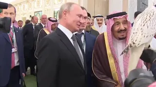 Подарок президента. Путин передал королю Саудовской Аравии камчатского кречета.