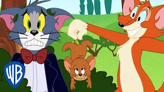 Tom y Jerry en Latino | Tom salva a Jerry | WB Kids