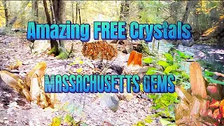 Finding some of the Best Minerals 💎  in MA! - Constant Crystals! -  #rockhounding  #crystals #foryou