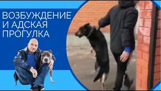 Скайп-консультация(Возбуждение и адская прогулка)