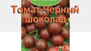 Томат обыкновенный Черный шоколад 🌿 обзор: как сажать, семена томата Черный шоколад