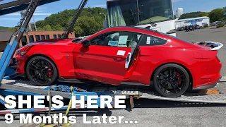 Taking Delivery of my 2020 Shelby GT500!