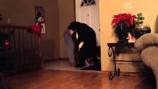 Humping Dog Yoga Fail