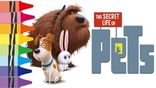 The Secret Life of Pets Coloring Book Page Cartoon