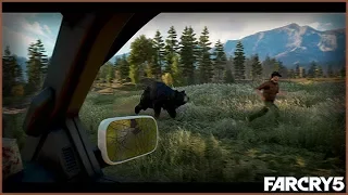 Far Cry 5-тыквенная ферма рей-рей
