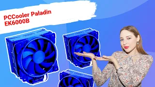 НИКС Компьютерный Супермаркет: видео про Кулер для процессора PCCooler Paladin EK6000B #1