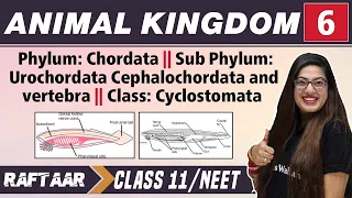Animal Kingdom 06 || Phylum: Chordata II Class: Cysclostomata || Class 11/NEET | RAFTAAR
