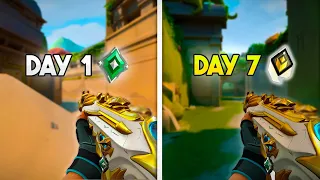 I Played Like a Radiant Jett For 7 Days.. (INSANE Results)
