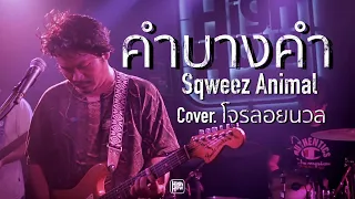 Sqweez Animal  - คำบางคำ  / @Official-th9vv COVER @HH_CAFE​