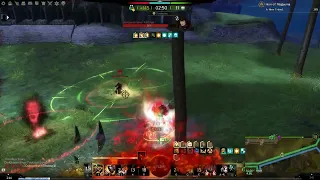 GW2 Warrior training