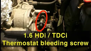How to replace leaking coolant thermostat housing bleeding screw in 1.6HDi engines