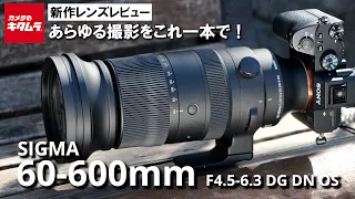 驚きの焦点距離！シグマ 60-600mm F4.5-6.3 DG DN OS | Sportsを紹介
