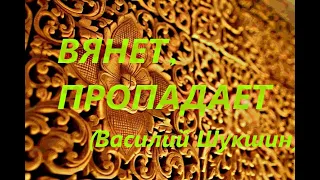 Вянет, пропадает (Василий Шукшин)