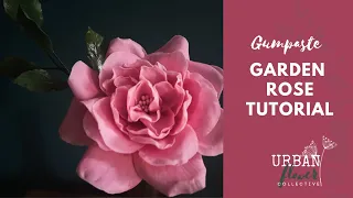 How to make a gumpaste / flower paste / sugar Garden Rose - a step by step tutorial