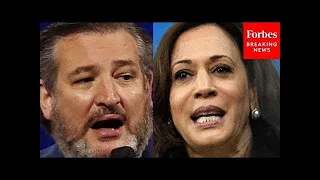 BREAKING: Ted Cruz Hammers Kamala Harris In Senate Hearing