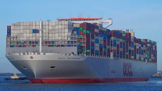 OOCL FELIXSTOWE - Ultra large containership - Shipspotting Port of Felixstowe 4/1/24