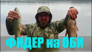 Ловля леща на фидер. Рыбалка на Оби