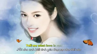 Two Butterflies (English version) - Fan Tongzhou - Lyrics HD 1080p