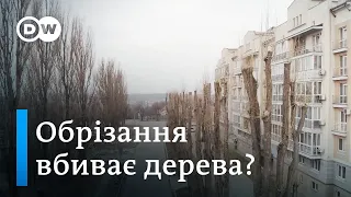 Міські дерева під загрозою? Весняні "чистки" легенів міст | DW Ukrainian