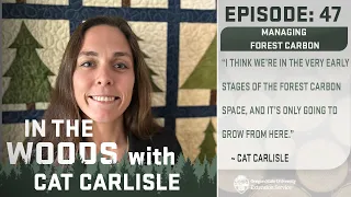 In The Woods   Episode 47  Managing Forest Carbon