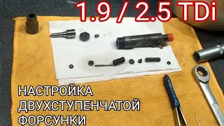 Настройка двухступенчатой форсунки 2.5 и 1.9 TDI.