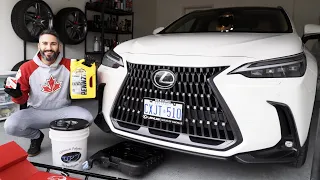 2022+ Lexus NX350h OIL CHANGE DIY! + Toyota Rav4 Hybrid