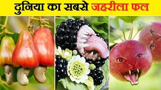 दुनिया के सबसे जहरीले फल | Most Poisonous Fruits in the World | 10 Poisonous Fruits in the World