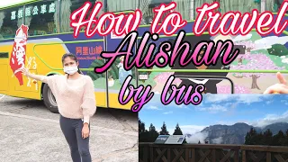 How to travel alishan by bus from chiayi/ 480nt only!