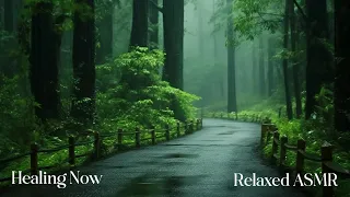 Rain in the forest path (5), forest wooden house, sleep, relax, meditate, study, work/hypnosis asmr