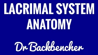 Anatomy and Physiology of the Lacrimal System  - High Yield Ophthalmology Lectures Made Easy