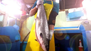 통연어 손질로 생선회만들기 / Trimming salmon to make delicious dishes / Korean street food