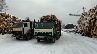 Едем в Нею. Возим баланс 1.