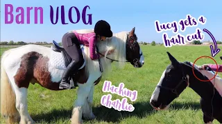 Barn Vlog | Lucy Gets A Hair Cut & Hacking With Charlie | Lock Down Day 39