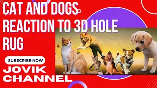 Cat and Dogs Reaction to 3d Hole Rug #3dholerug 😂😂