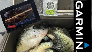 Chasing roaming crappie with Garmin Livescope #Garmin #Livescope #GarminLivescope