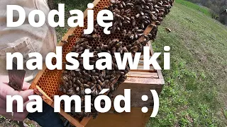 #119 Nadstawki w ruch - czy będzie powtórka poprzedniego sezonu? :)