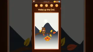 brain test 2/level 39/ wake up the owl