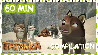 Tatonka en Français 🐺 Nouvelle Compilation ⛰️ La voix de la montagne ⛰️ Dessins animés