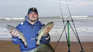 Shore Fishing For Cod At Saltwick Bay In Whitby