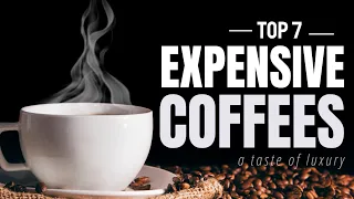 Most Expensive Coffees In the World!!
