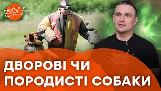 8 ШРАМІВ НА ОБЛИЧЧІ... Невідомі грані роботи КІНОЛОГІВ