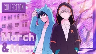MEP Collection | March to May 2017