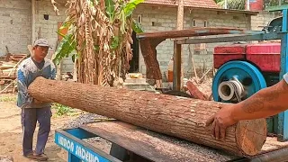 Mumpung masih pagi, penggergajian kayu mahoni di mulai