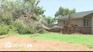 Monsoon storm leaves trail of damage in the east Valley