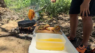 O PEIXE QUE EU FIZ NA BARRANCA DO RIO VAI TE DEIXAR LOUCO (PESCARIA TOP DE VÁRIAS ESPÉCIES)